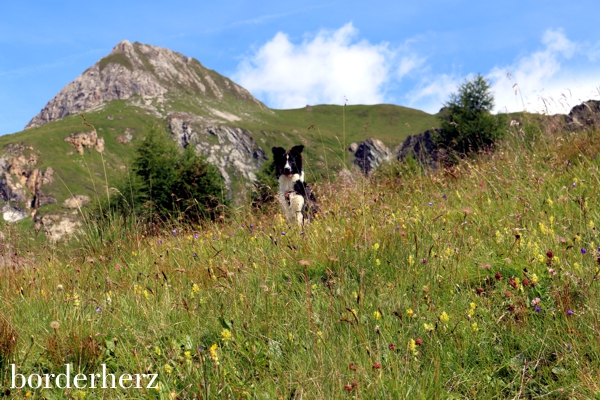 Wanderung Glorerhütte