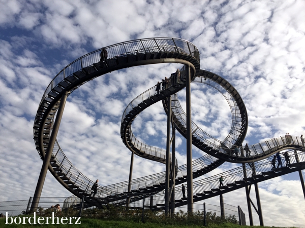 Tiger and Turtle