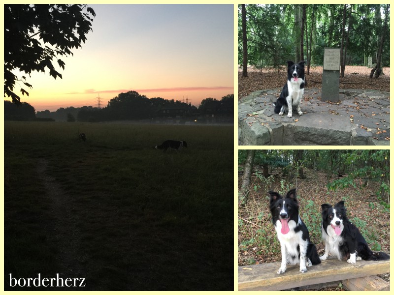 Auf unserem Feld, im Duisburger Wald und in Vonderort