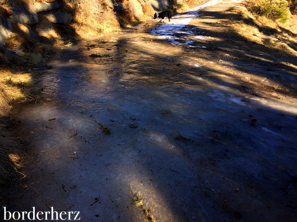 Snowline Spikes