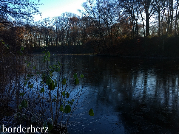 Paddelteich im Winter