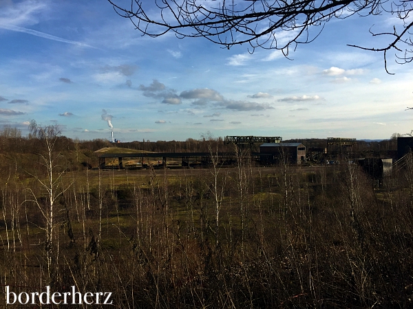 Natur im Landschaftspark