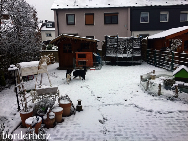 Schnee im Februar