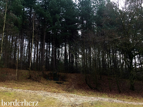 Frühling in den Testerbergen