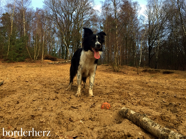 Frühling in den Testerbergen