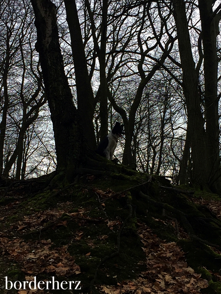 Bergsteigen in Vonderort