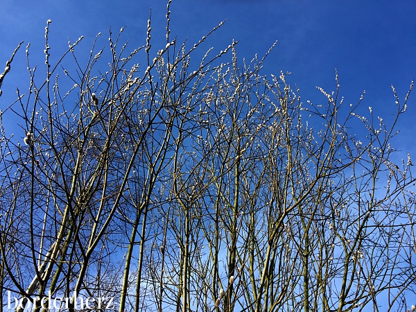 Frühling im Landschaftspark Duisburg Nord