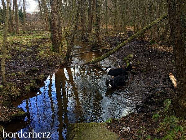 Baden im Ebersbach