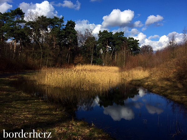 Gewässer in der Schöttelheide