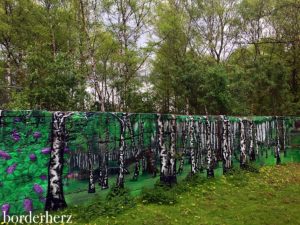 Birkenwald im Gleispark Frintrop