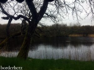 Die Vogelkoje in Kampen