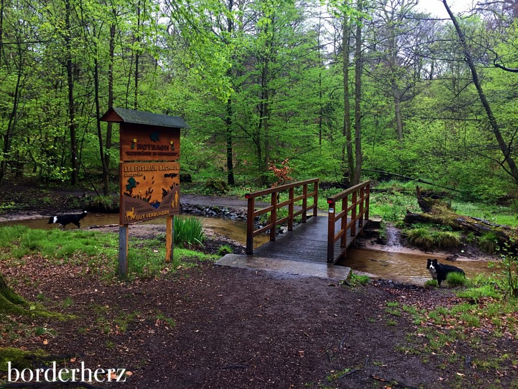 Brücke über den Rotbach