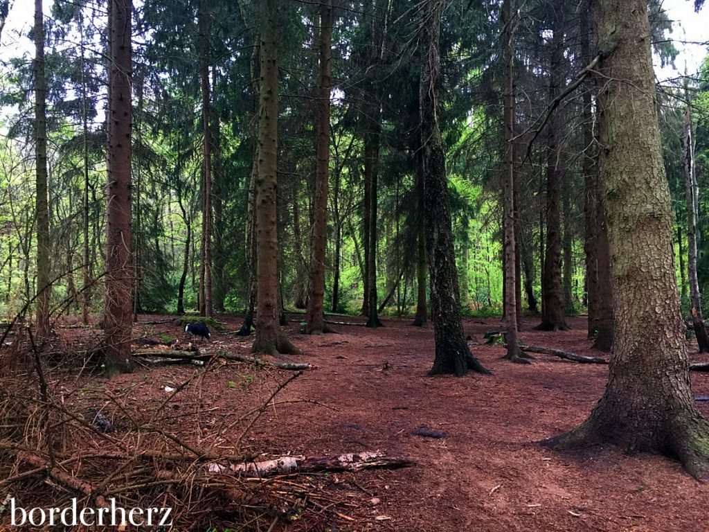 Ruhige Wege im Rotbachtal