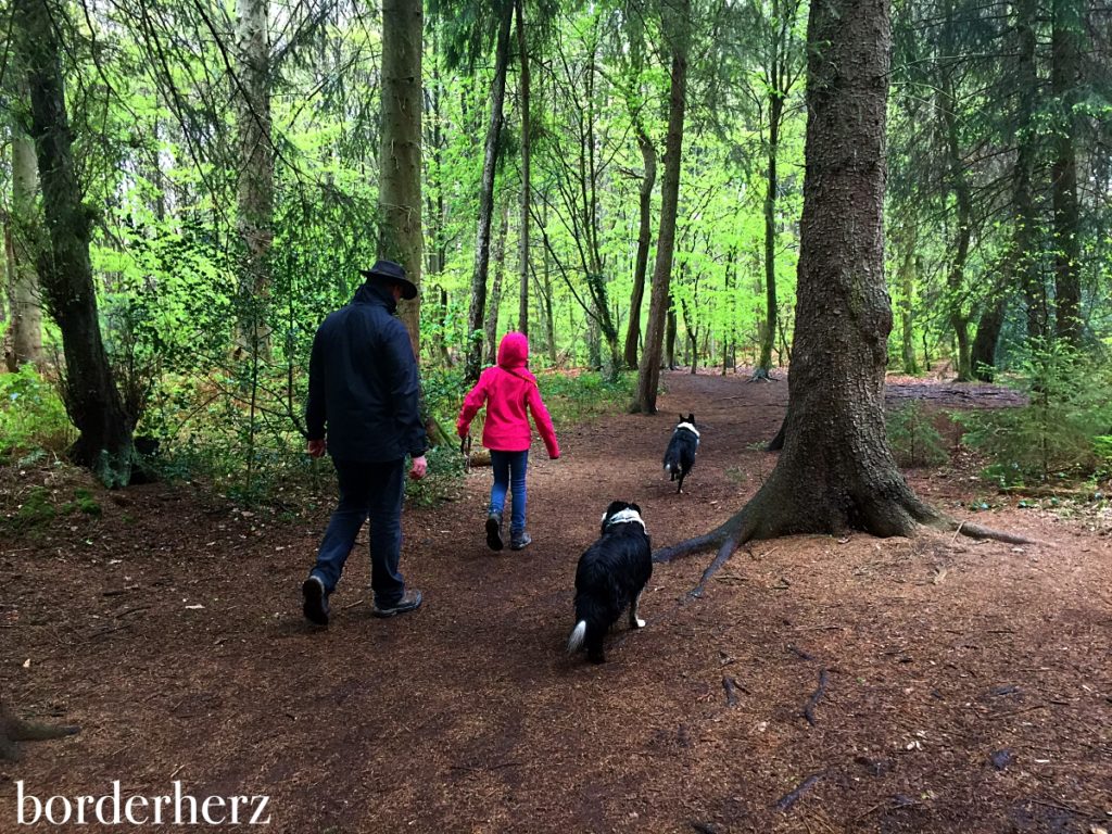 Wandern im Rotbachtal