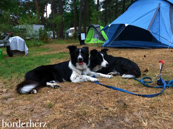 Camping Heldense Bossen