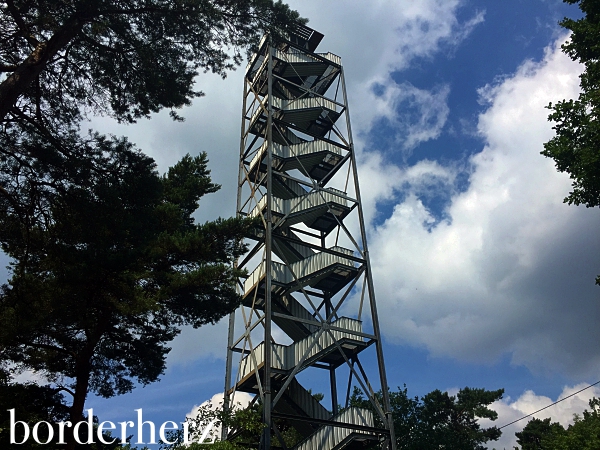 Feuerwachturm Farnberg