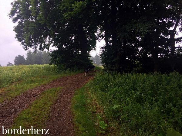 Wandern Sauerland