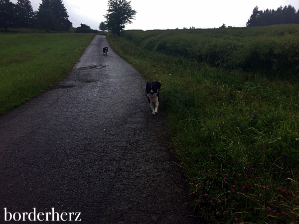 Wandern im Sauerland