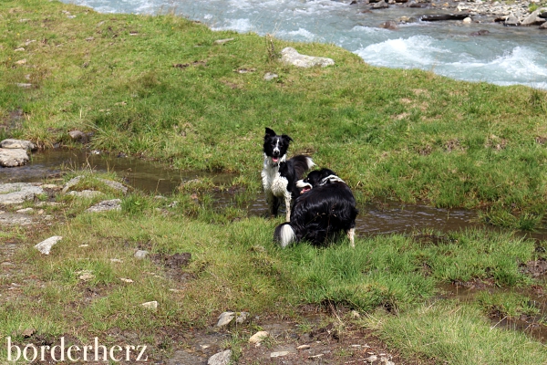 Schwarzach Fluss