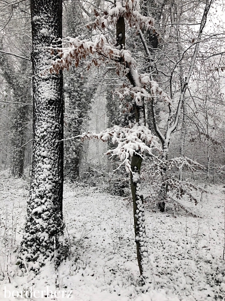 winterfreuden im ruhrgebiet