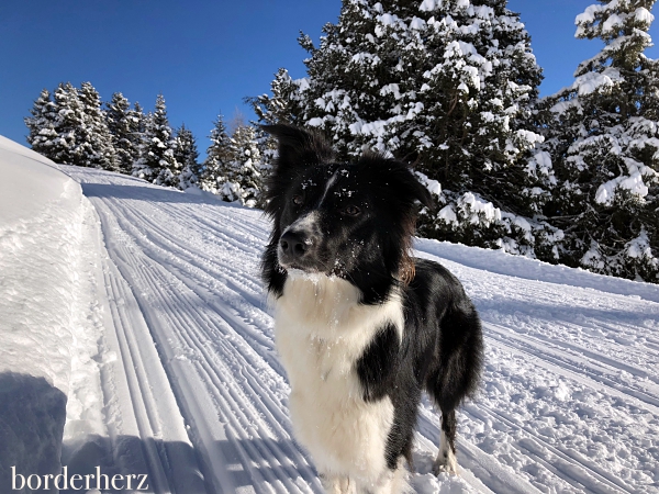 Winter Osttirol