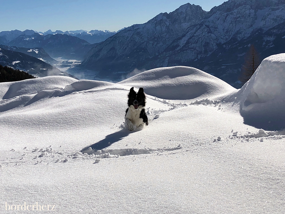 Winter Osttirol