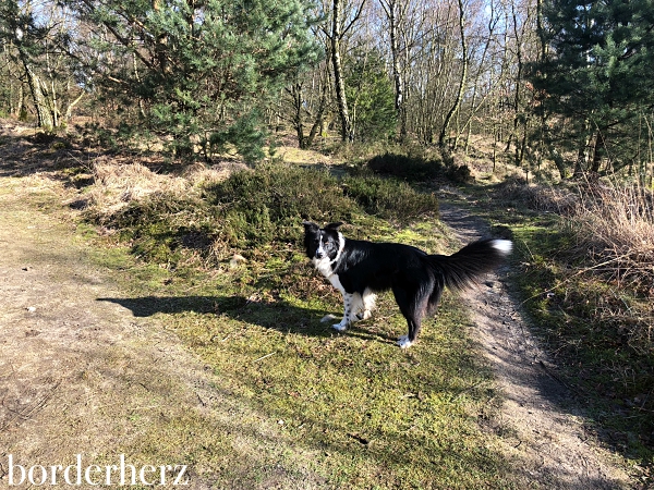 Naturpark Hohe Mark