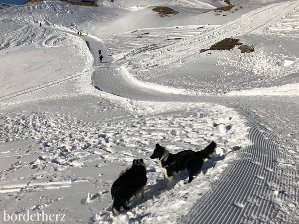 Nebelhorn