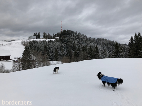 Pfänder