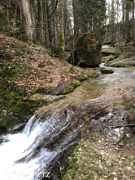 Scheidegger Wasserfälle