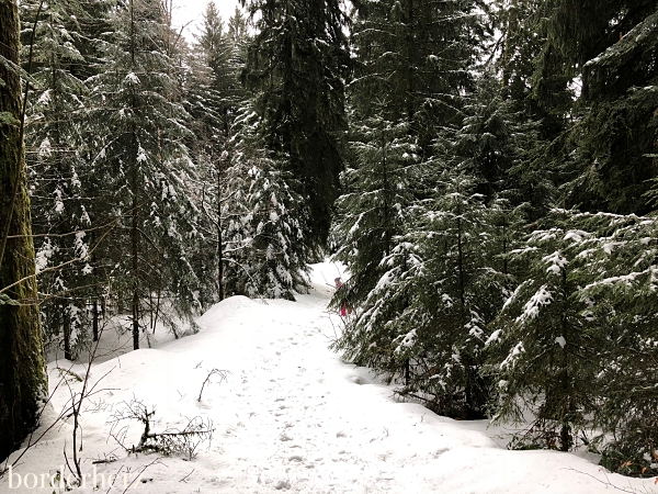 Wintermärchen Scheidegg