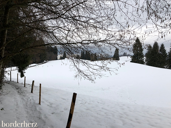 Scheidegg Winter