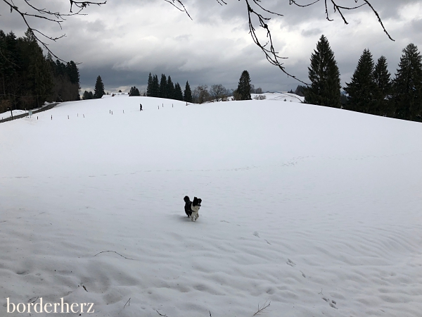 Winterwonderland Scheidegg