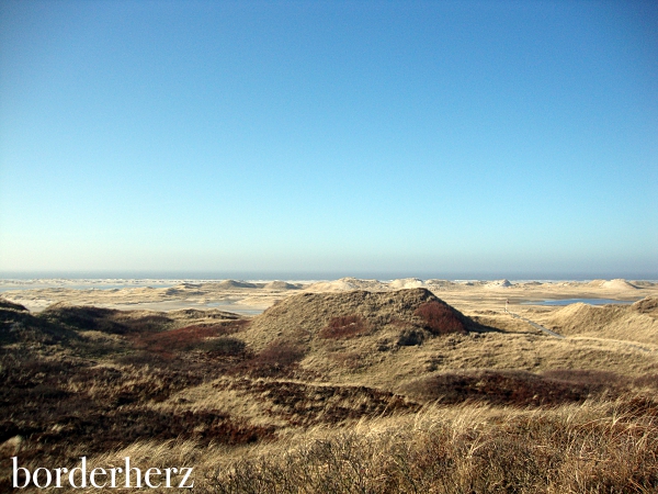 Amrum Dünen