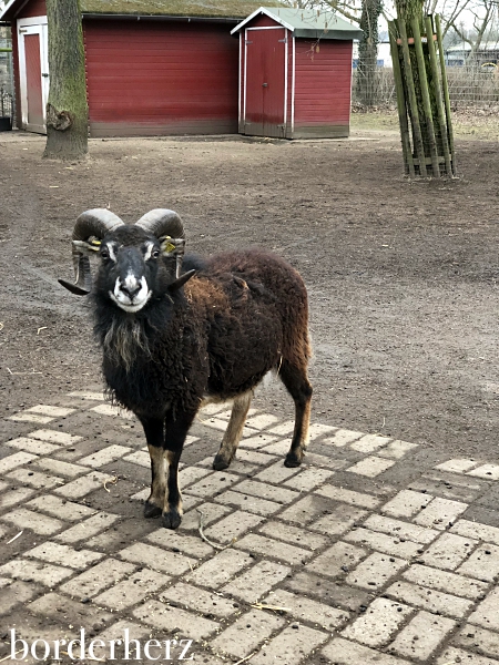 Kaisergarten Oberhausen