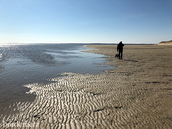 Amrum Odde