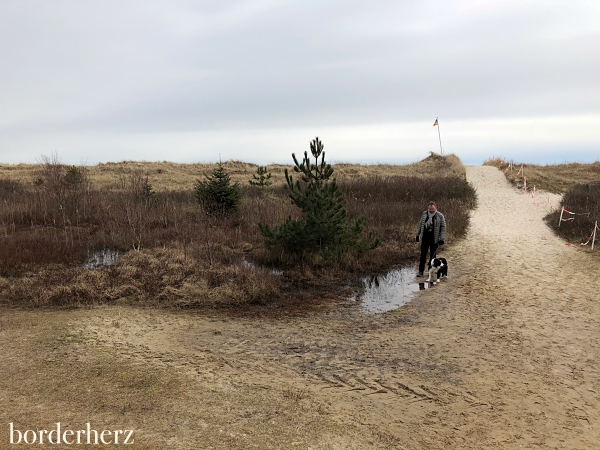 Nehrungssee Amrum