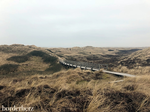 Amrum Dünen