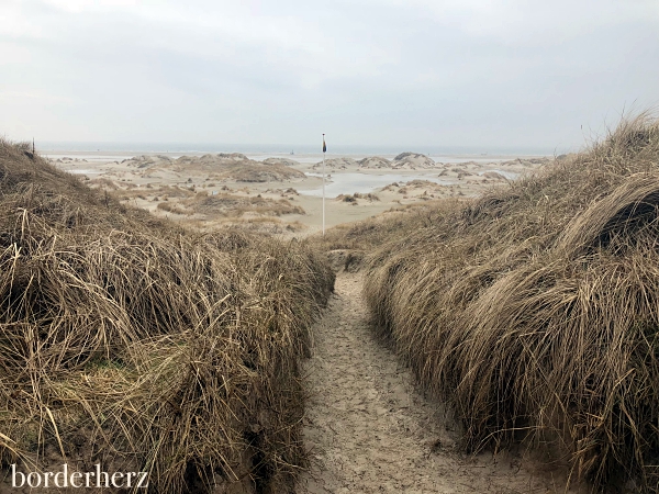 Vordünen Amrum