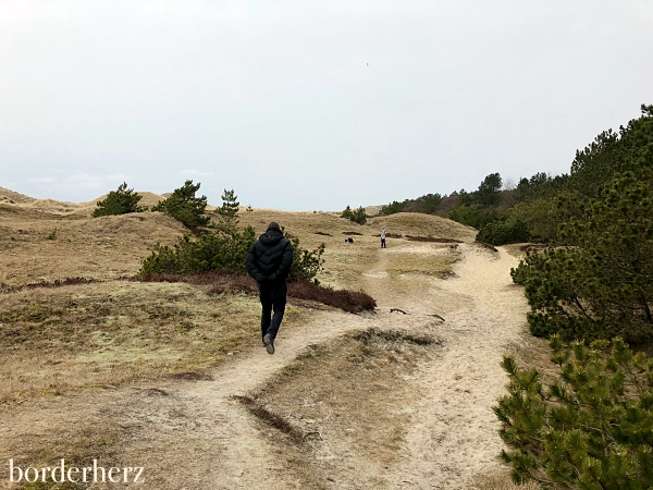 Amrum