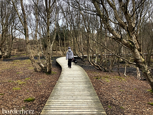 Vogelkoje Amrum