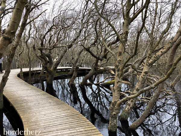 Vogelkoje Amrum