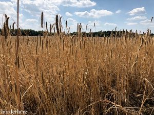 Hullerner Stausee