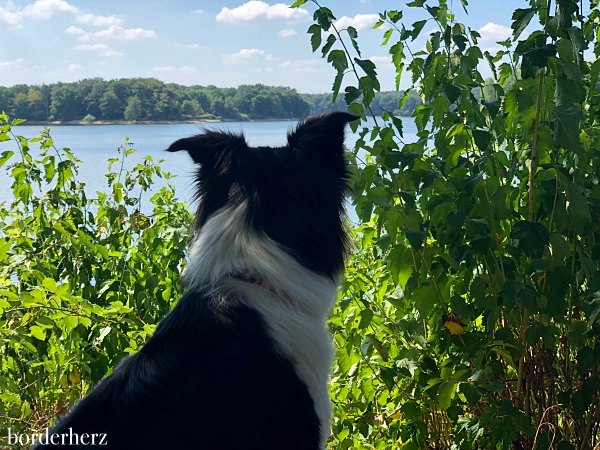 Hullerner Stausee