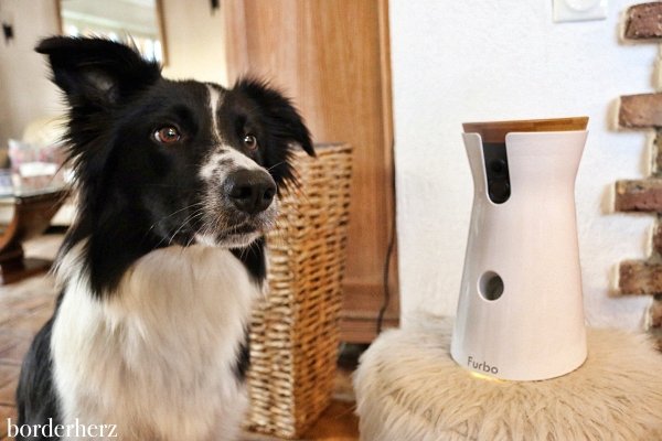 Hundekamera