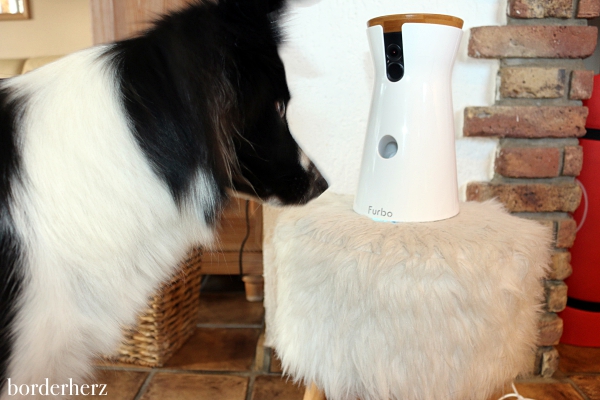 Furbo