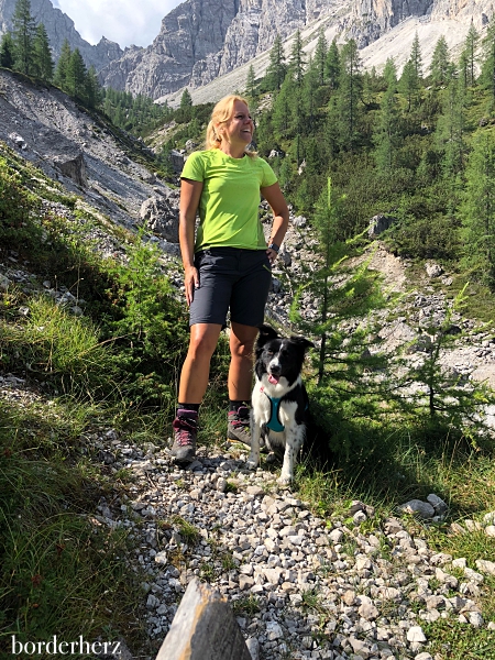 wandern mit Hund