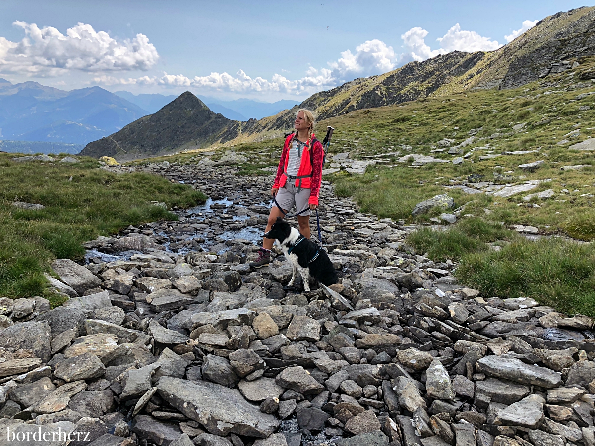 Wandern mit Hund