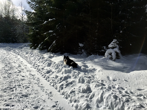 Winterwandern Winterberg