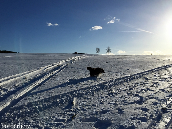 Winterwandern Winterberg